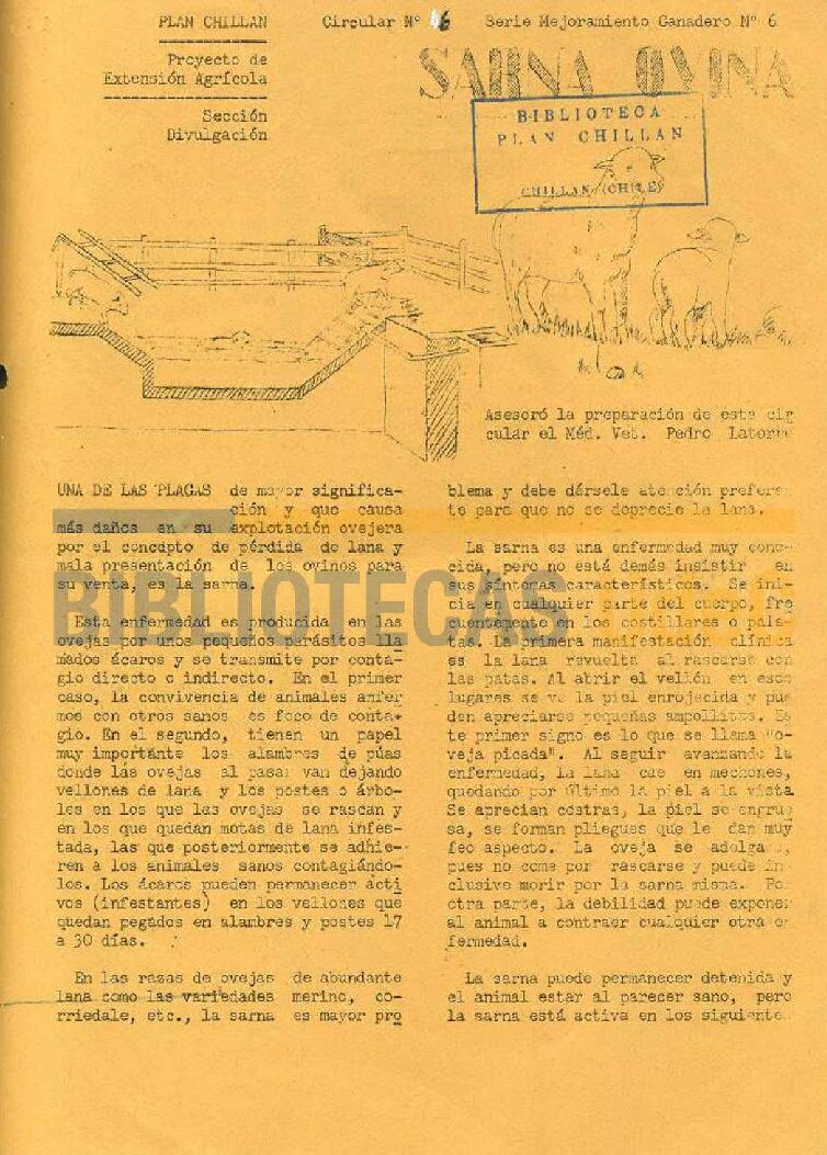 Open original Imágenes