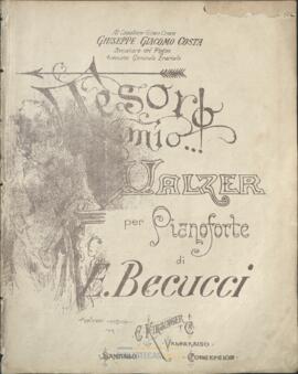 Tesoro mío : valzer per pianoforte di E. Becucci